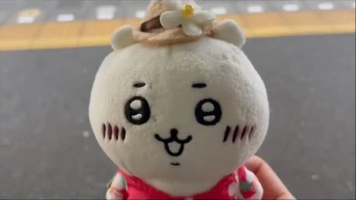 Chiikawa... What happened to the doll the eagle snatched away!! / Reupload