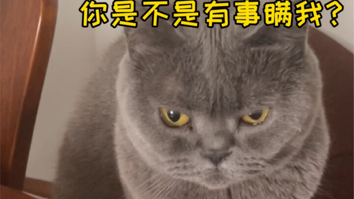 أشعر وكأنني ذلك الرجل السيئ الذي يخون زوجته أثناء الزواج...