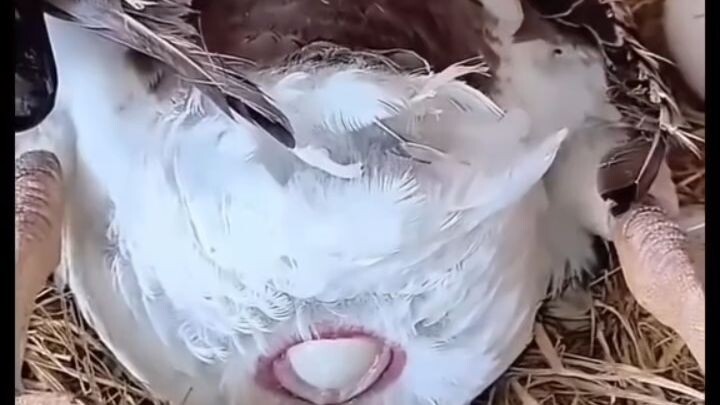 funny video🤣🤣