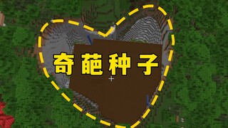 我的世界：图一乐种子，有趣，但没啥用