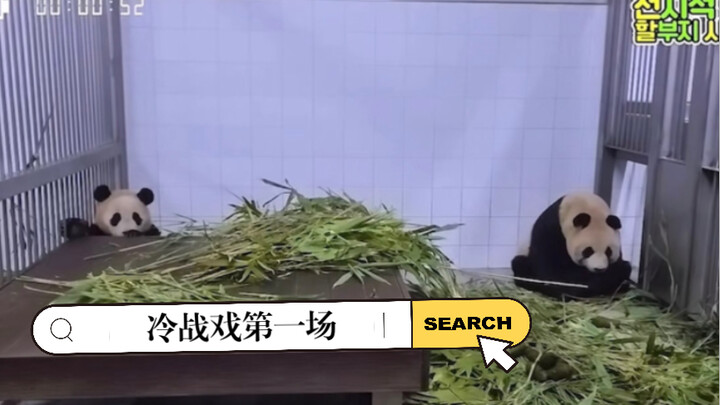 Fu Bao and her mother are on cold terms, ignoring each other, with Grandpa Jiang stepping in as a pe