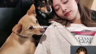 Happy tzuyu day♥️❤️🎈