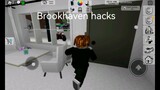 Brookhaven hack