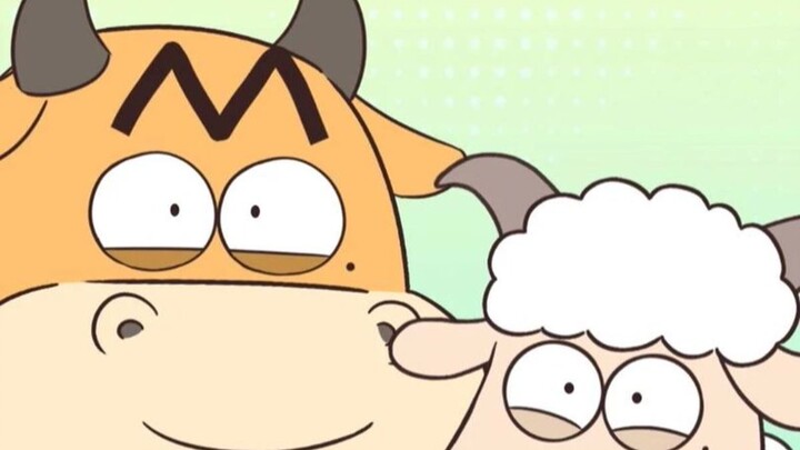 Bạn đã để ý chưa: Bò chỉ có răng cửa dưới?