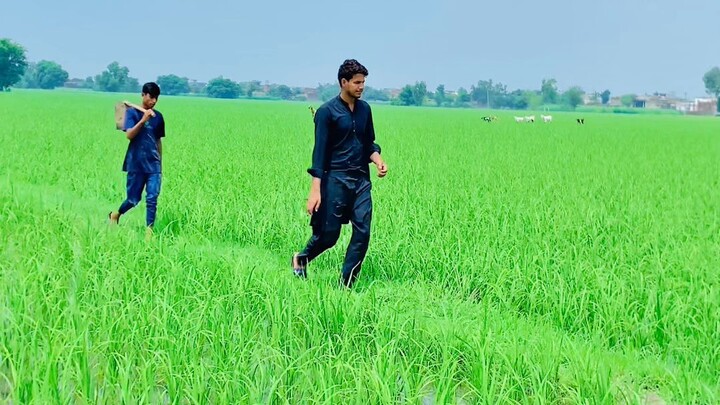 today we will make road 🛣️