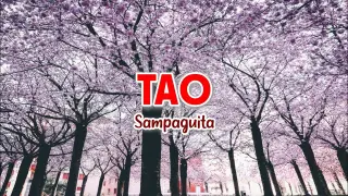 Tao - Sampaguita | Karaoke Version