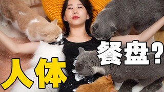 从叠猫猫挑战到人体盛宴...鬼知道我经历了什么？