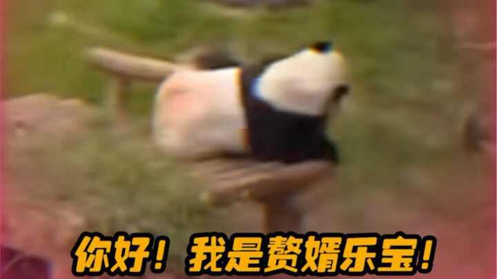 乐宝：下次不上门了啊