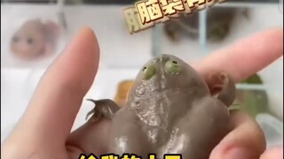 上班先嚼个同事