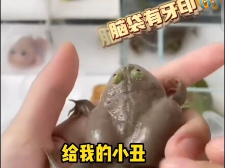 上班先嚼个同事