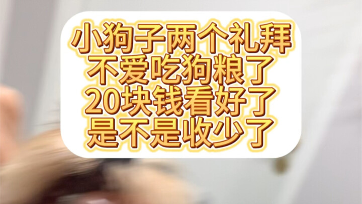 สุนัขของฉันไม่ชอบกินอาหารเป็นเวลาสองสัปดาห์ ดังนั้นฉันจะให้เงินเขา 20 หยวน