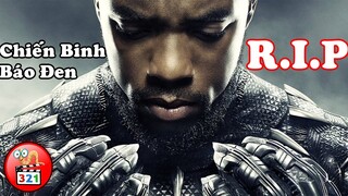 CHIẾN BINH BÁO ĐEN Chadwick Boseman Và 9 Vai Diễn Để Đời | Chadwick Boseman Best Movies