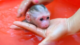 Routine Bathing!! Super handsome boy Luca keeps patiently when Mom takes a bath for him