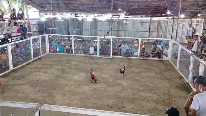 win 5x winner Gilmore