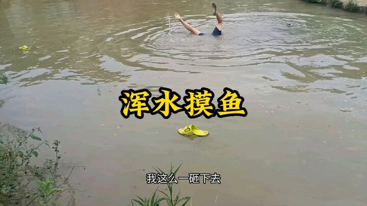ฝูงเป็ดที่ซื้อไว้เมื่อก่อนหายไปอีกแล้ว