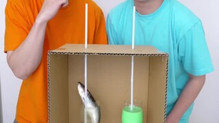 [Shocking Da Lei] has updated a video, come and watch it!