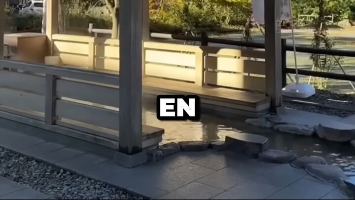 SPA PARA LOS PÌES