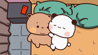 睡不着的布布