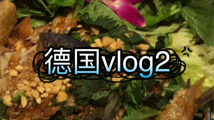 Sao lại có bạn bảo sinh viên Đức không làm vlog nhỉ (2)