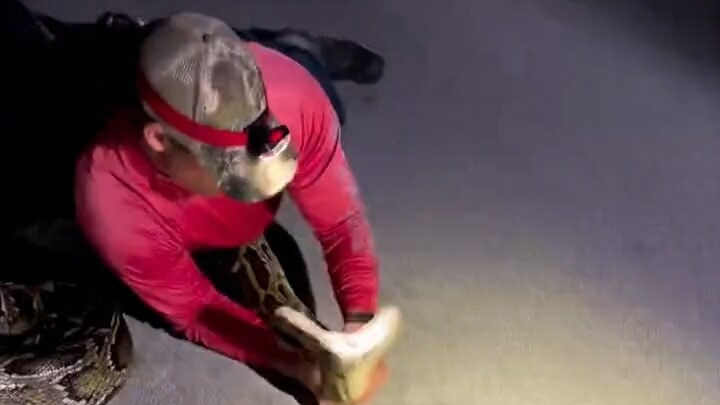 There’s a Reason Why There Are Fewer Foreigners Here