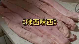 大型纪录片《咪西咪西》