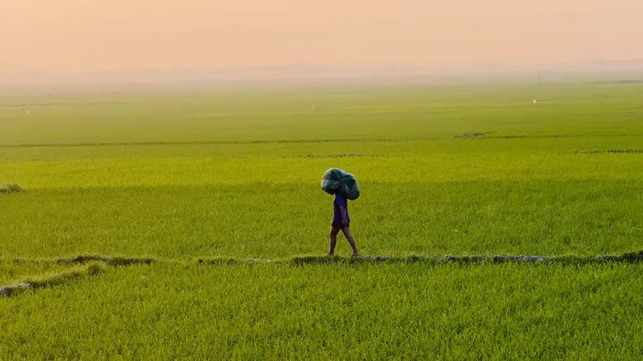 - জদী তোমার সাথে আমার পিরীত হতো..!