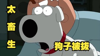 [呆] A freshman attacked his own dog, how funny