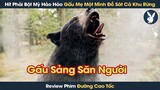 [Review Phim] Hít Phải Bột Mỳ Hảo Hảo Gấu Mẹ Một Mình Đồ Sát Cả Khu Rừng