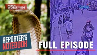 Kahalagahan ng Philippine cobra sa kalikasan, alamin! (Full Episode) | Reporter's Notebook
