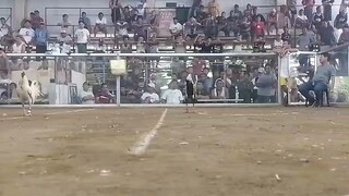 2nd fight lose kinulang sa swerte