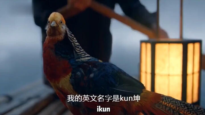 IKUN tak bisa hidup tanpa Cai Xukun, sama seperti Barat tak bisa kehilangan Yerusalem.