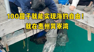 出海钓鱼2天一夜只需100就能体验