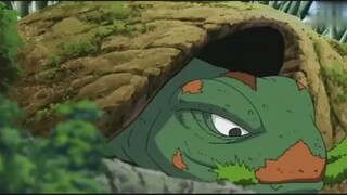 Naruto: The turtle complained about Kai, saying that he finally came out, but why is he in the sky? 