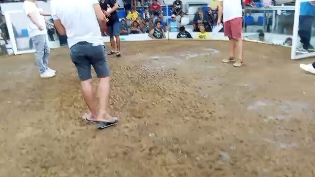 2x winner na minerbluecross@igaycokpitarena