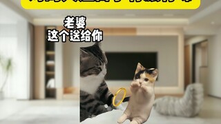 الشخص المناسب بجانبك يجعل الحياة مليئة بالبهجة والطعم.