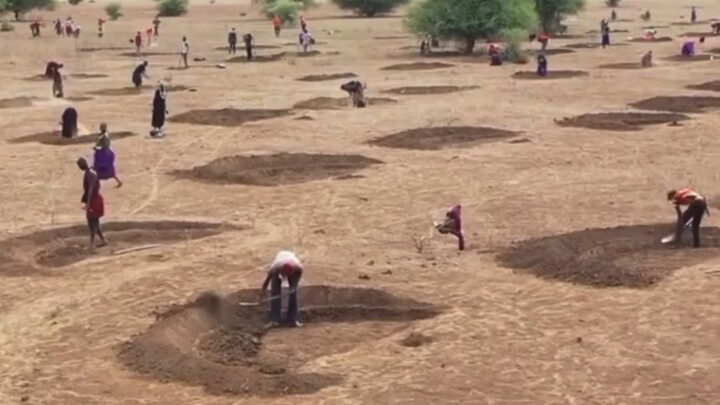 What are these people doing?