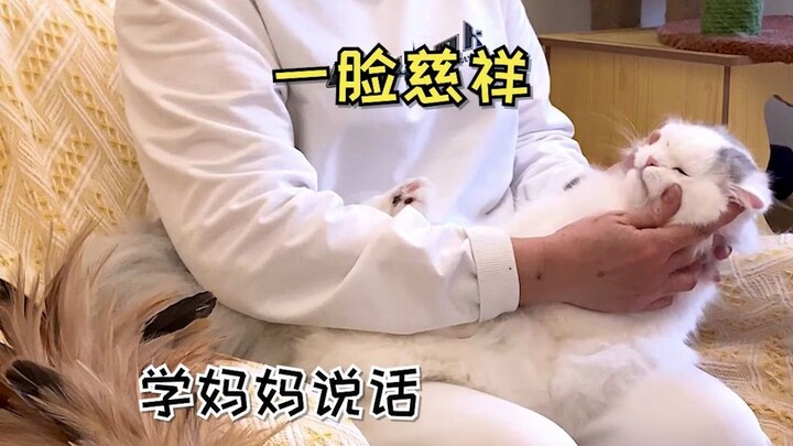 تغيرات الأم بعد إحضار القطة إلى المنزل