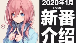 【冬季新番】2020年1月新番介绍（先行版）