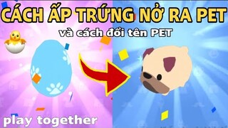 PLAY TOGETHER | CÁCH ẤP TRỨNG NỞ RA PET SIÊU NHANH VÀ CÁCH ĐỔI TÊN PET