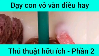 Dạy con vô vàn điều hay thủ thuật hữu ích #2