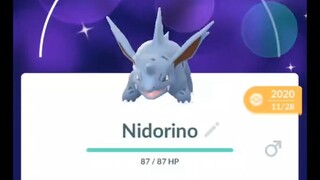 Pokémon GO-Evolving Shiny Nidorino