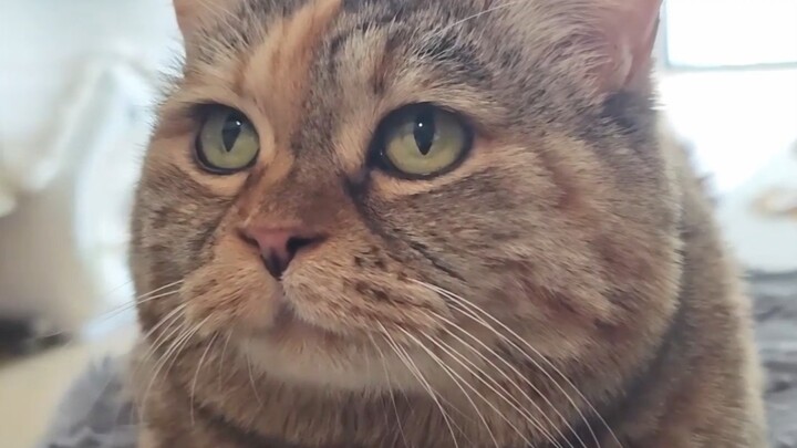 Mi’s bowl is empty. Can we share some human food with Mi?