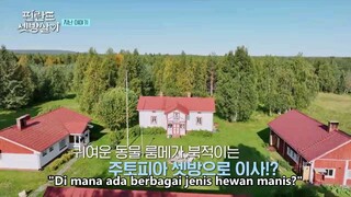 Rented In Finland Episode 8 Sub Indo