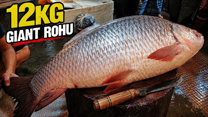You Never Seen!! Increadble 12 KG Giant Rohu Fish Cutting Skills Live In Fish Market ||