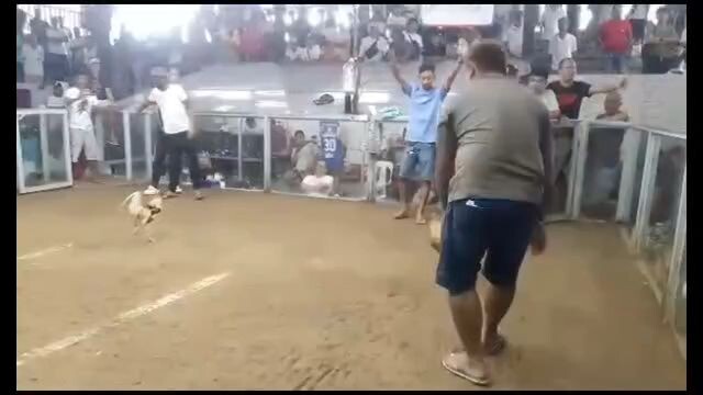 fantastic dome in action #17