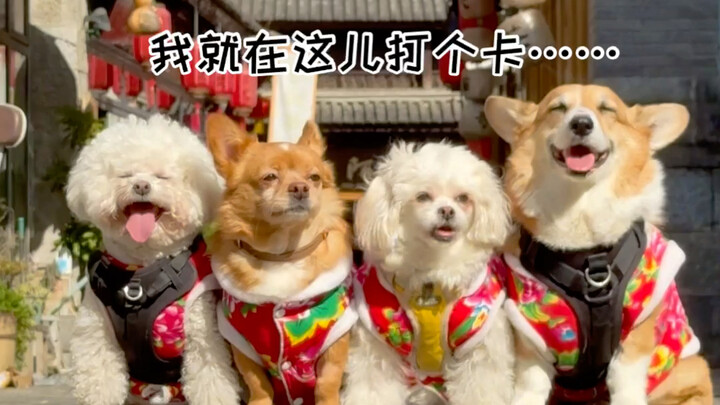 Traveling for the New Year with my four little ones