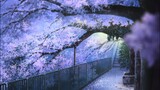 AMV - Does It Matter (Beautiful Anime Spring/Cherry Blossom Scenery) Full HD