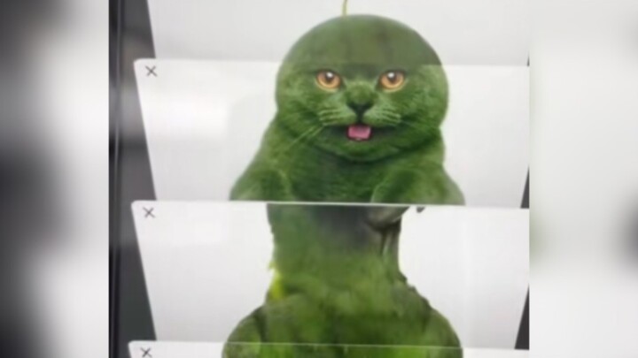 “Teka-teki Isian Kosong Milikmu”