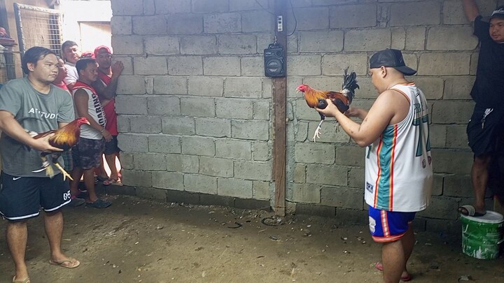 malagkit ang paa