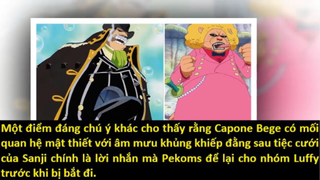 Shiki âm mưu lật đổ Big Mom - Đại chiến sắp nổ ra_ - Giả thuyết 2